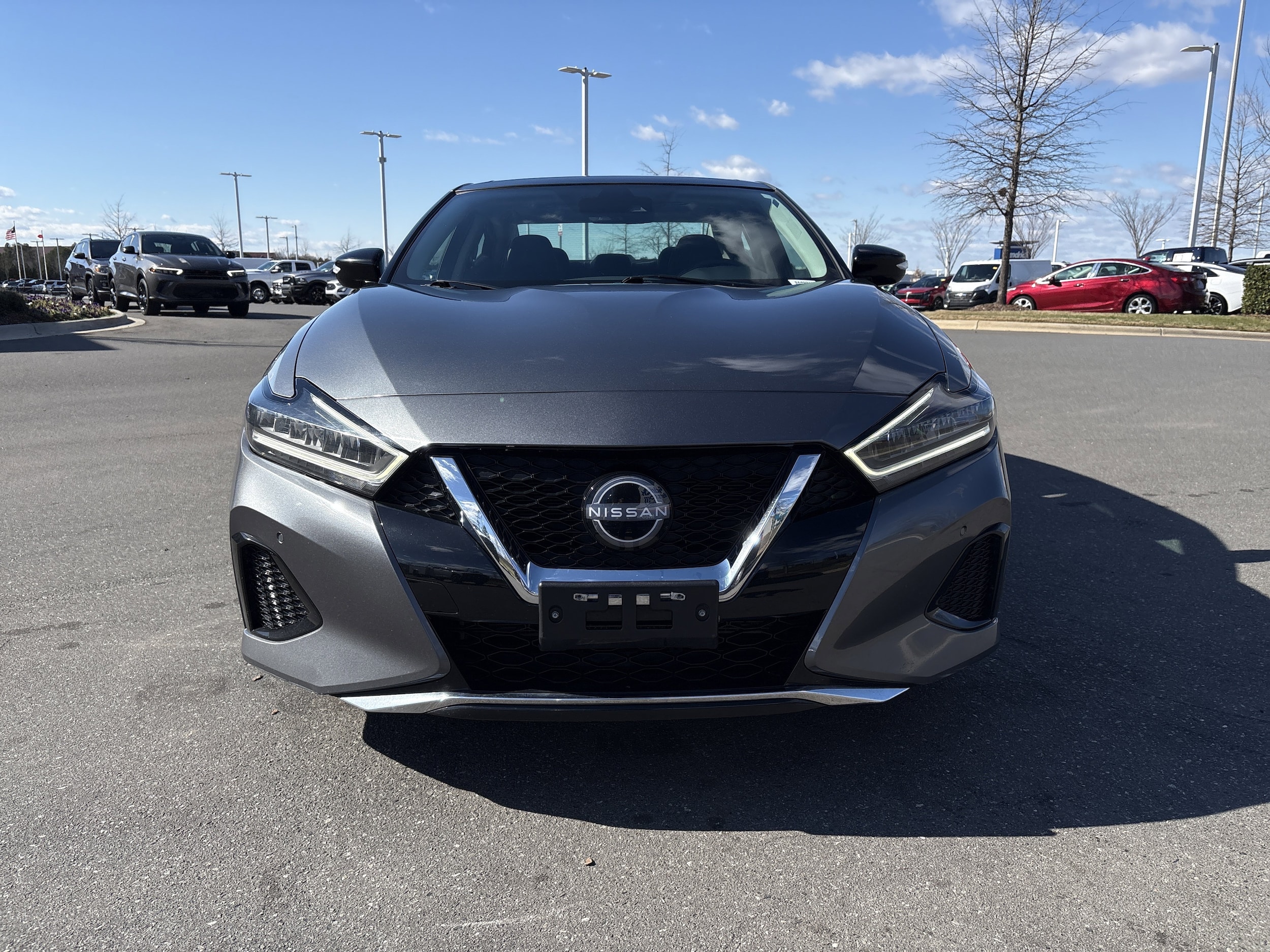 2023 Nissan Maxima SL photo 2