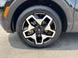 2024 Hyundai Santa Cruz Limited Pickup