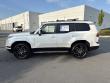 2024 LEXUS GX GX 550 Premium+ SUV