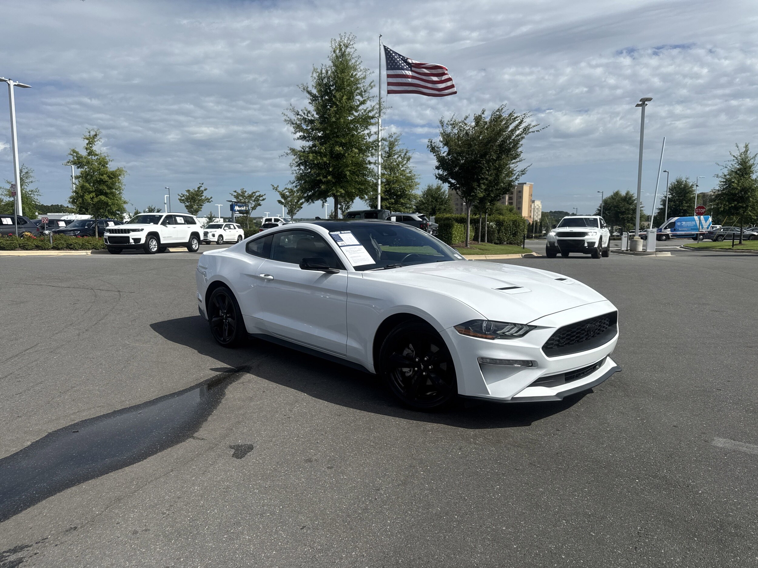 2022 Ford Mustang EcoBoost photo 2