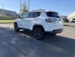 2021 Jeep Compass 80th Anniversary SUV