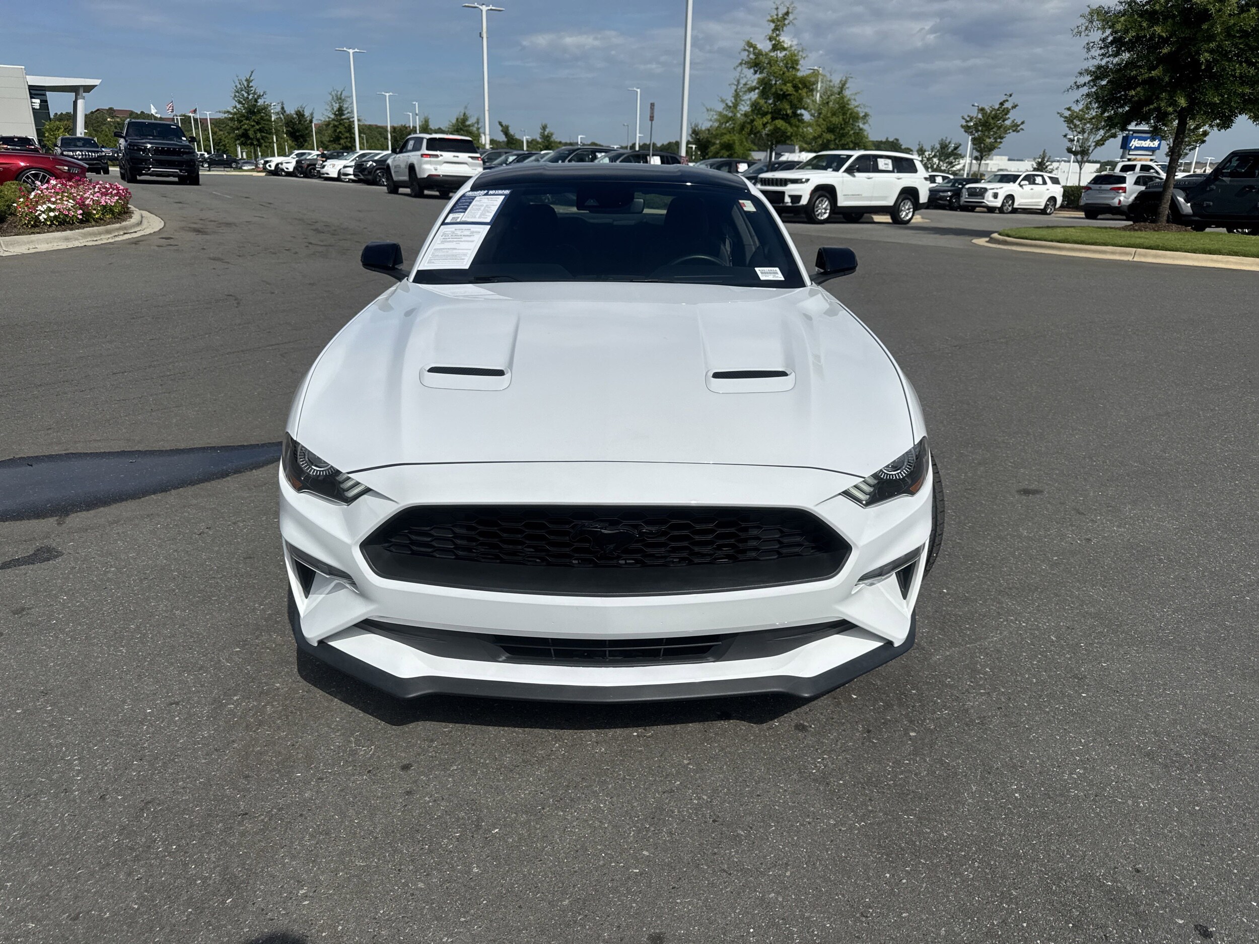 2022 Ford Mustang EcoBoost photo 3