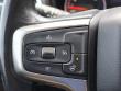 2020 Chevrolet Silverado 1500 LT Trail Boss Pickup