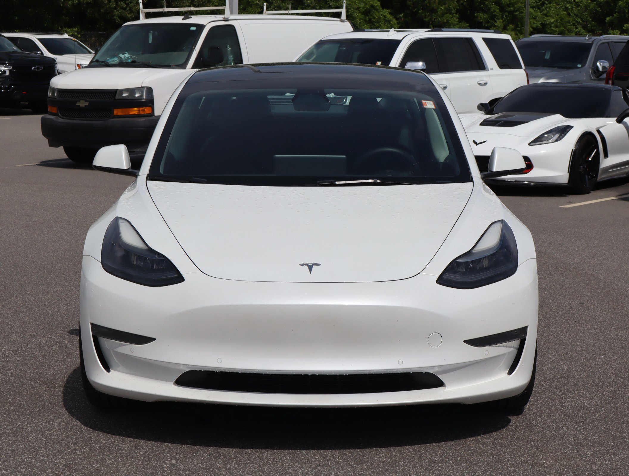 2022 Tesla Model 3 Performance photo 2