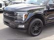 2024 Ford F-150 Platinum Pickup