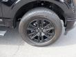 2024 Ford F-150 Platinum Pickup