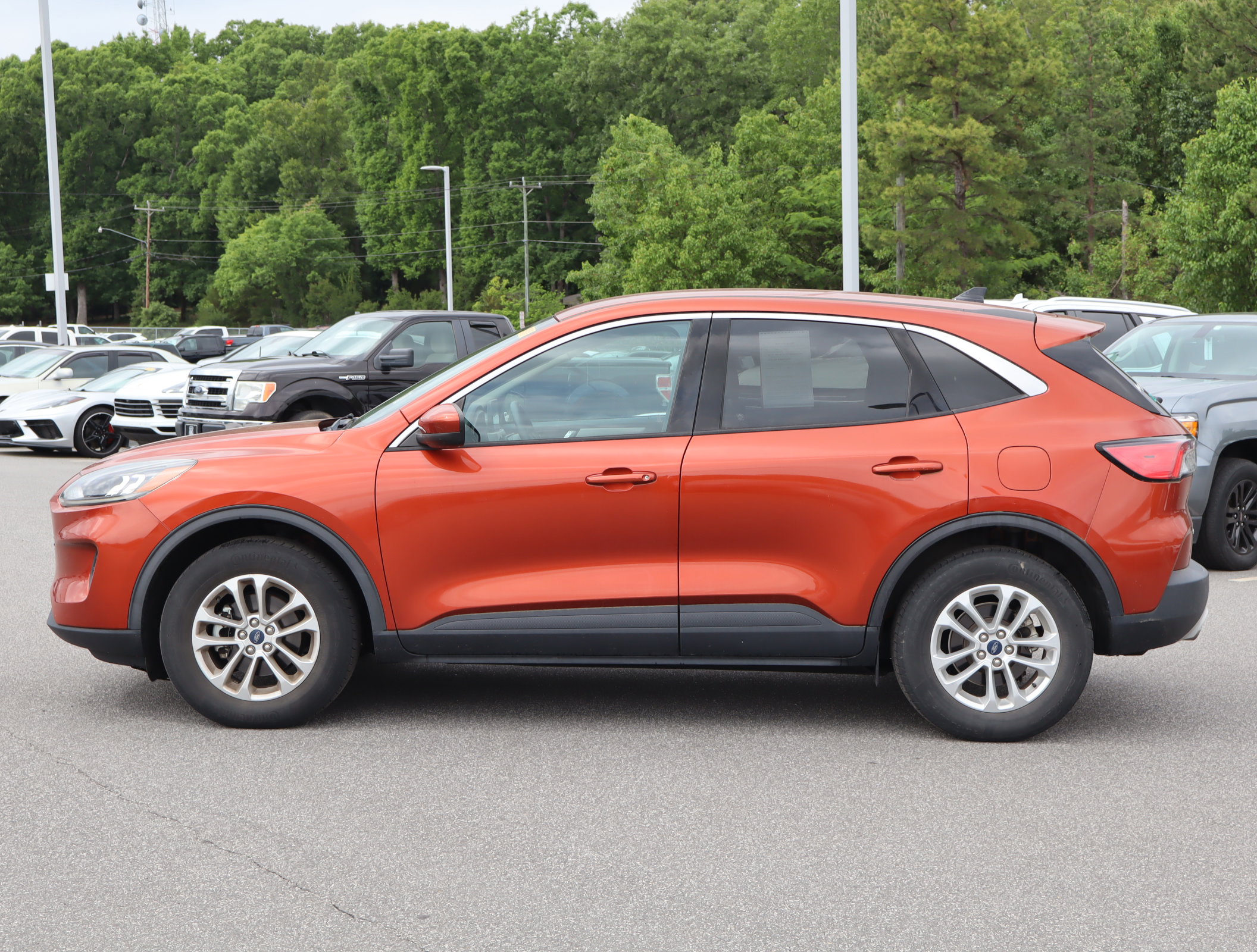 2020 Ford Escape SE photo 4