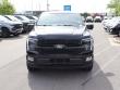 2024 Ford F-150 Platinum Pickup