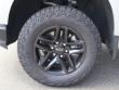 2021 Chevrolet Silverado 1500 LT Trail Boss Pickup