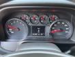 2025 Chevrolet Silverado 1500 Custom Trail Boss Pickup