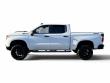 2022 Chevrolet Silverado 1500 LT Trail Boss Pickup