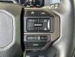 2024 Toyota Land Cruiser SUV