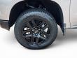 2025 Chevrolet Silverado 1500 Custom Trail Boss Pickup