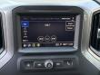 2025 Chevrolet Silverado 1500 Custom Trail Boss Pickup