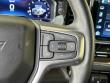 2024 Chevrolet Silverado 1500 LT Trail Boss Pickup