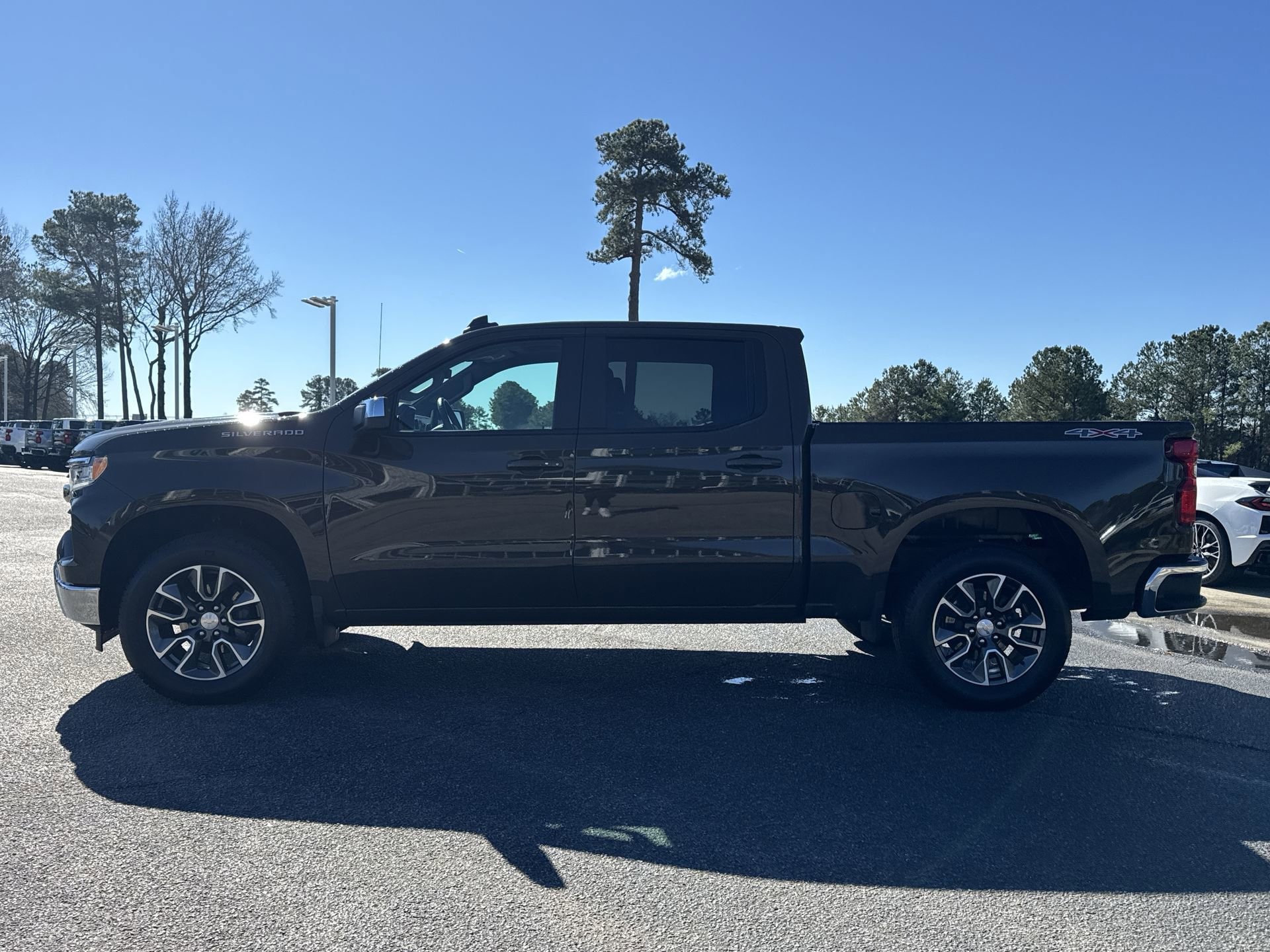 2024 Chevrolet Silverado 1500 LT photo 5