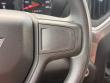 2022 Chevrolet Silverado 1500 Custom Trail Boss Pickup