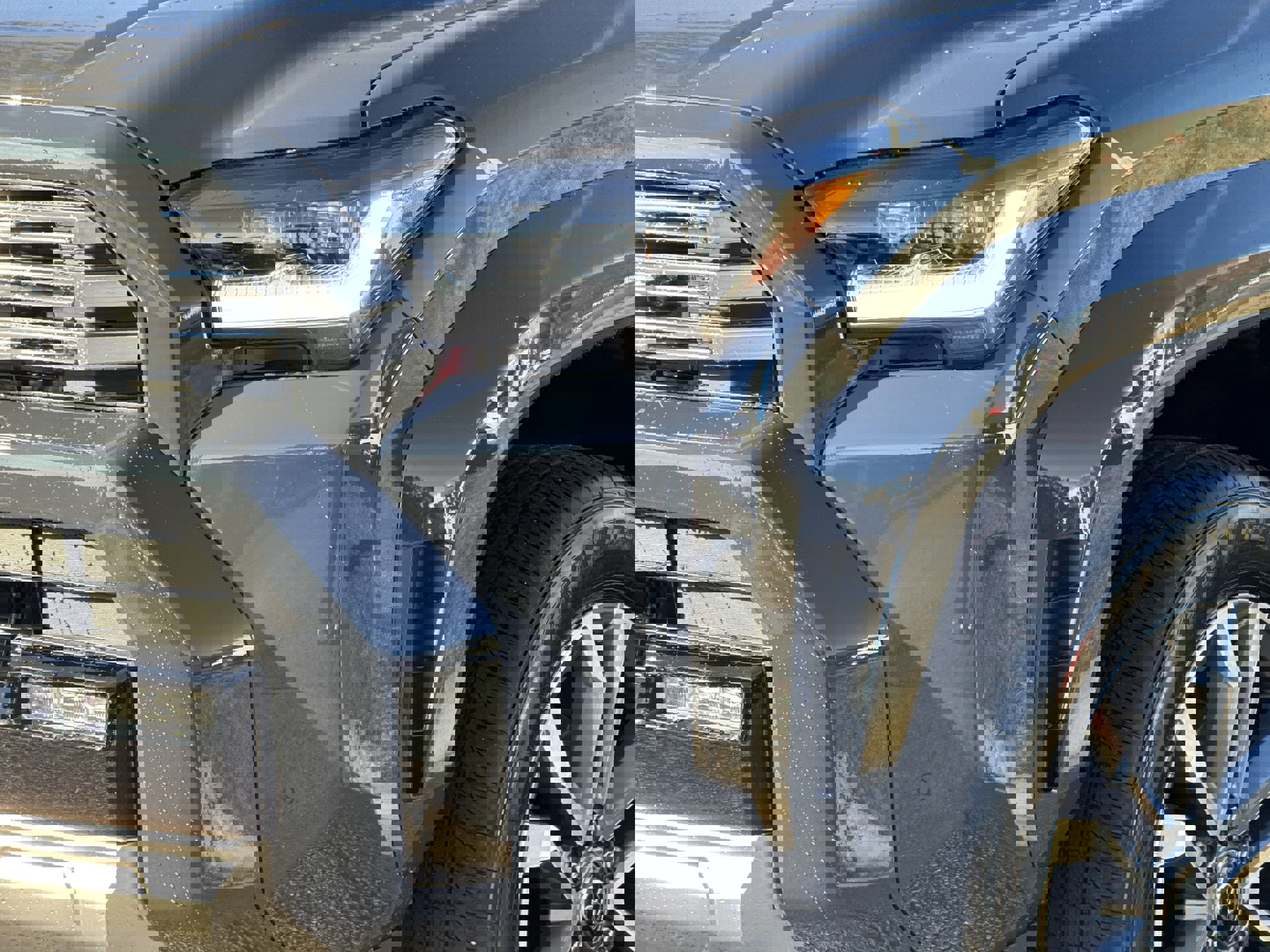 2025 Toyota 4Runner Limited photo 4