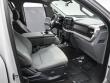 2023 Ford F-150 XLT Pickup