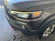 2019 Jeep Cherokee Trailhawk SUV