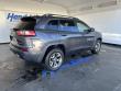 2019 Jeep Cherokee Trailhawk SUV