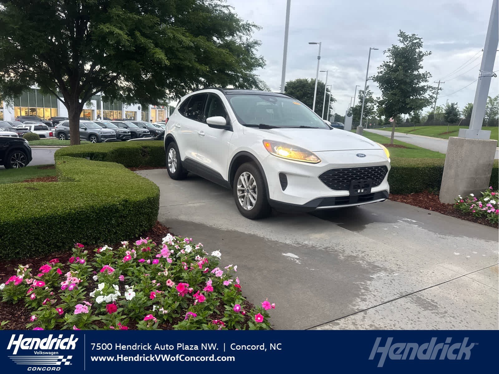 2020 Ford Escape SE AWD's photo