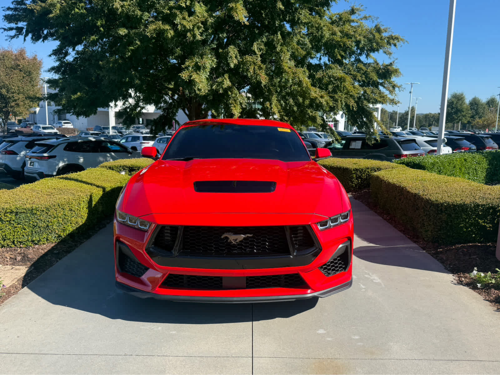Used 2024 Ford Mustang GT Premium Coupe