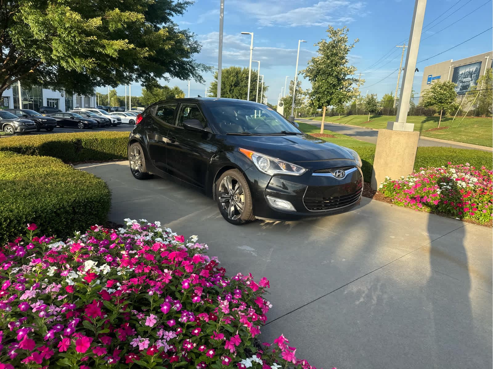 Hyundai Veloster Value Edition