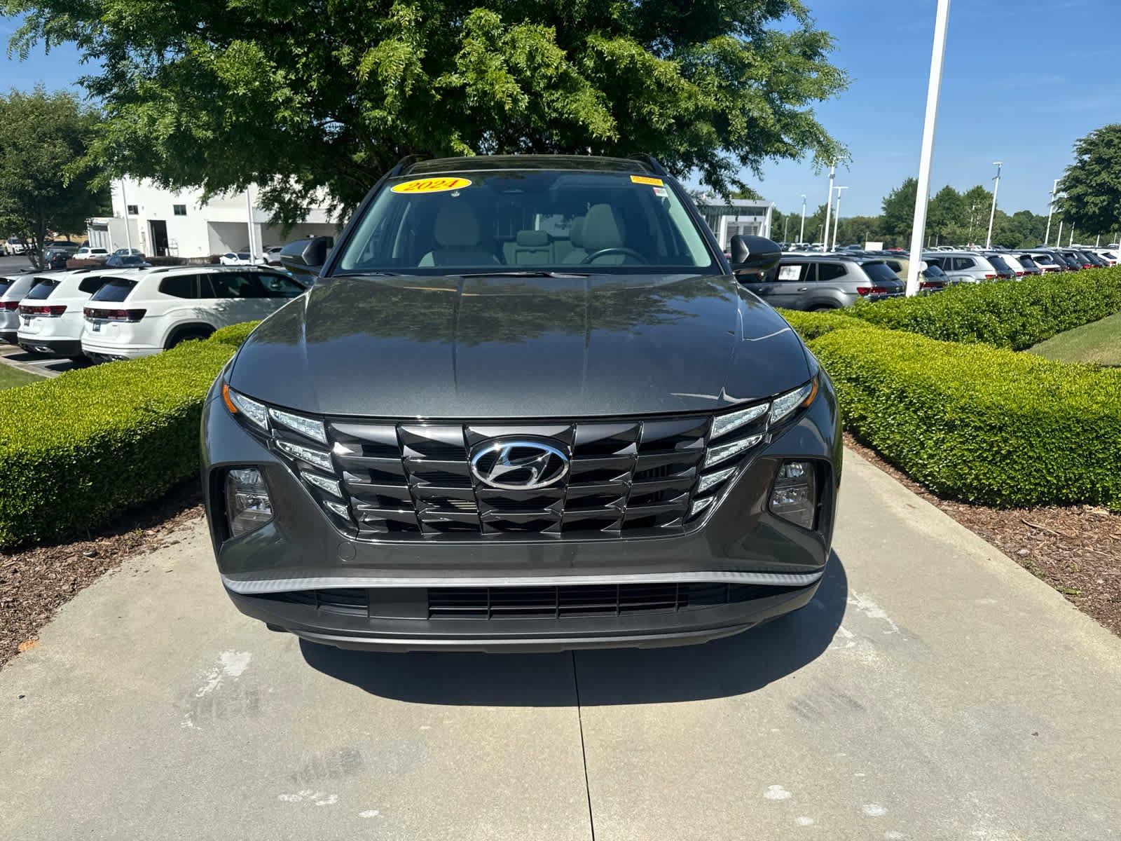 2024 Hyundai Tucson Hybrid SEL Convenience photo 3
