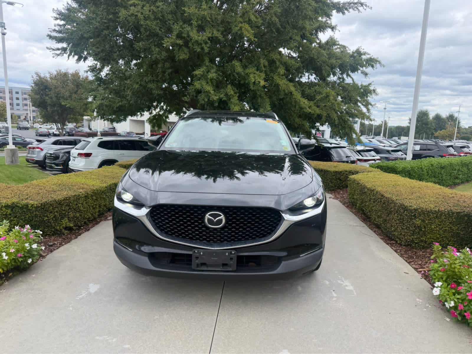 Used 2024 Mazda CX-30 2.5 S Preferred Package SUV