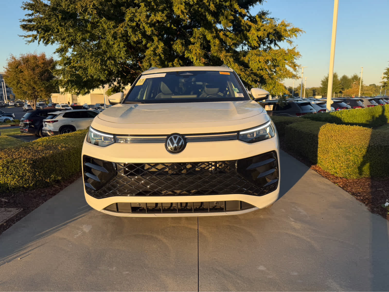 Used 2025 Volkswagen Tiguan 2.0T SEL R-Line SUV