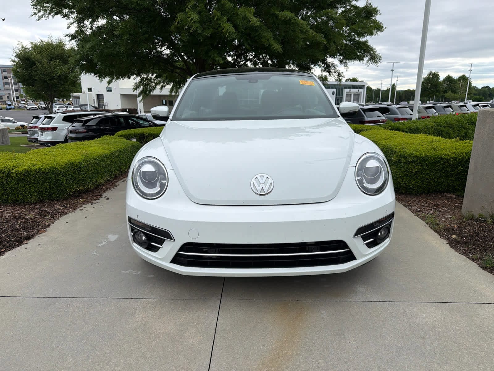 2018 Volkswagen Beetle 2.0T SE photo 2