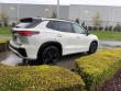 2025 Volkswagen Tiguan 2.0T SE R-Line Black SUV