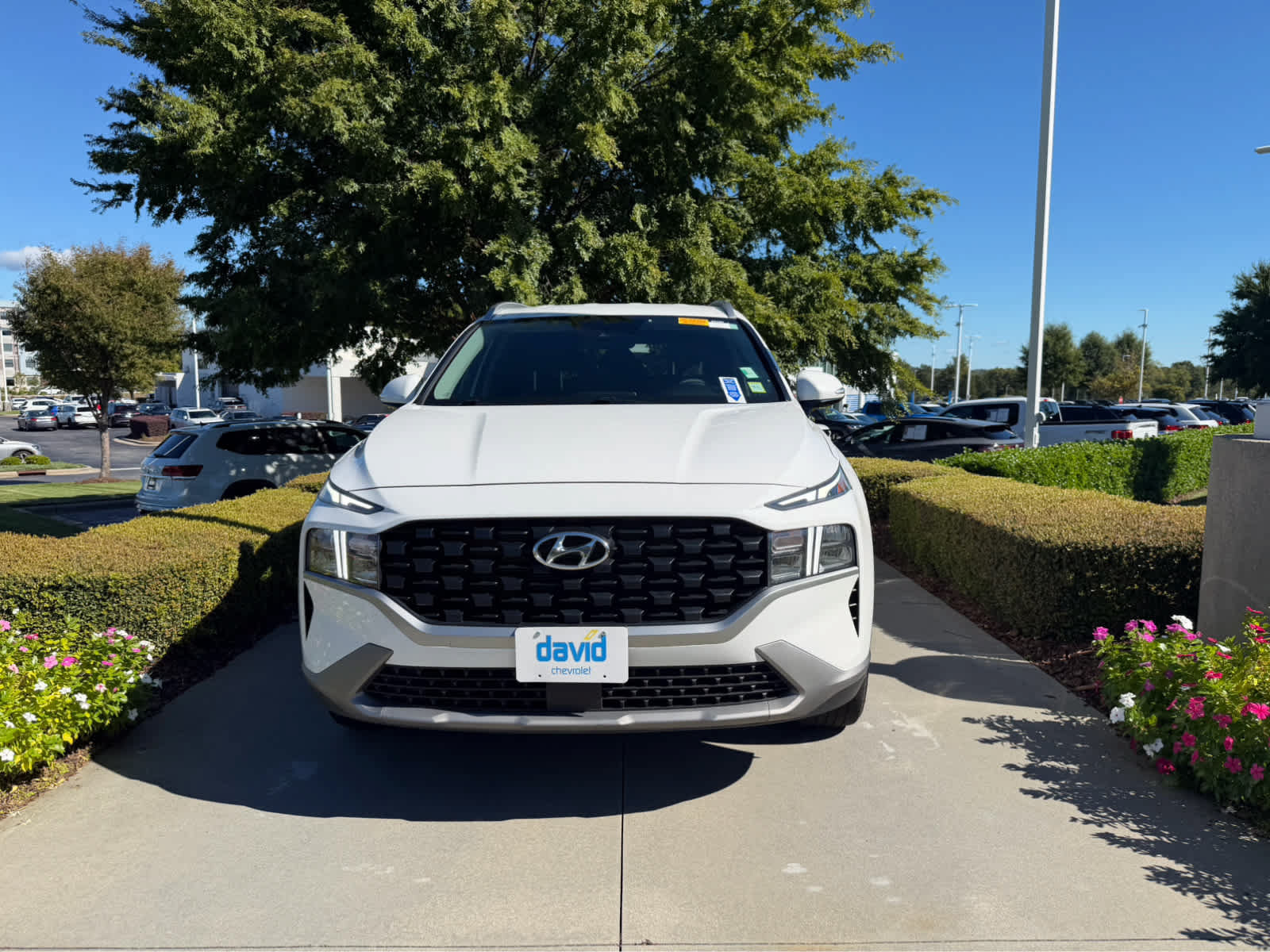 Used 2023 Hyundai Santa Fe SEL SUV