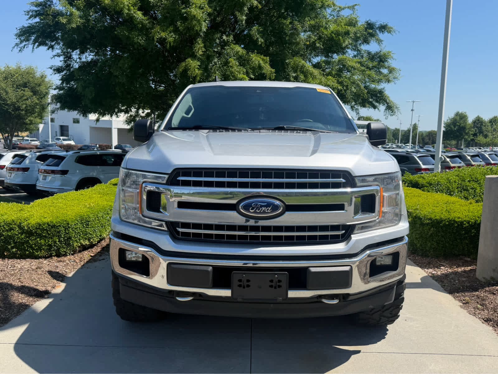 2019 Ford F-150 photo 3