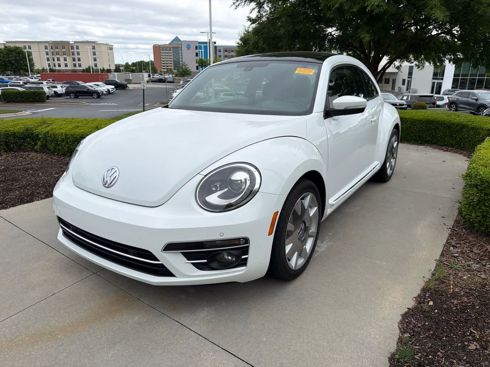2018 Volkswagen Beetle 2.0T SE photo 4