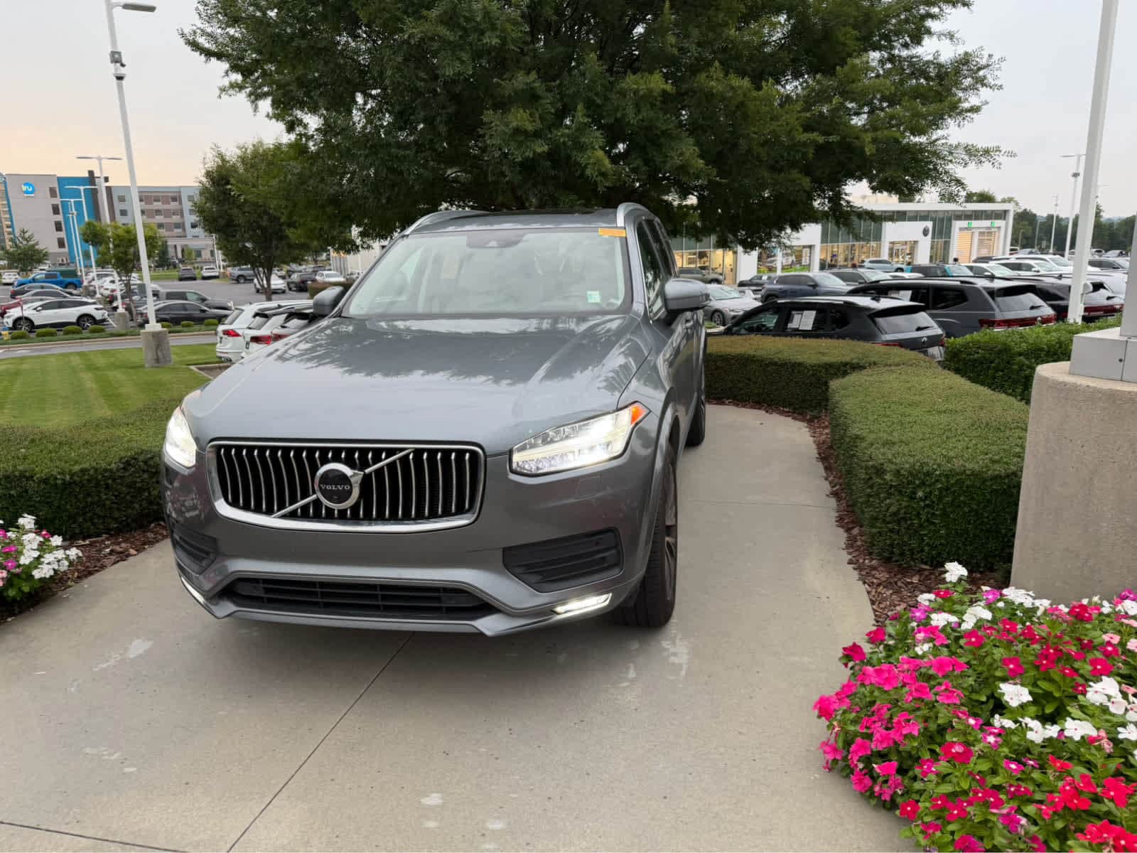 Volvo XC90 T6 Momentum 6 Passenger