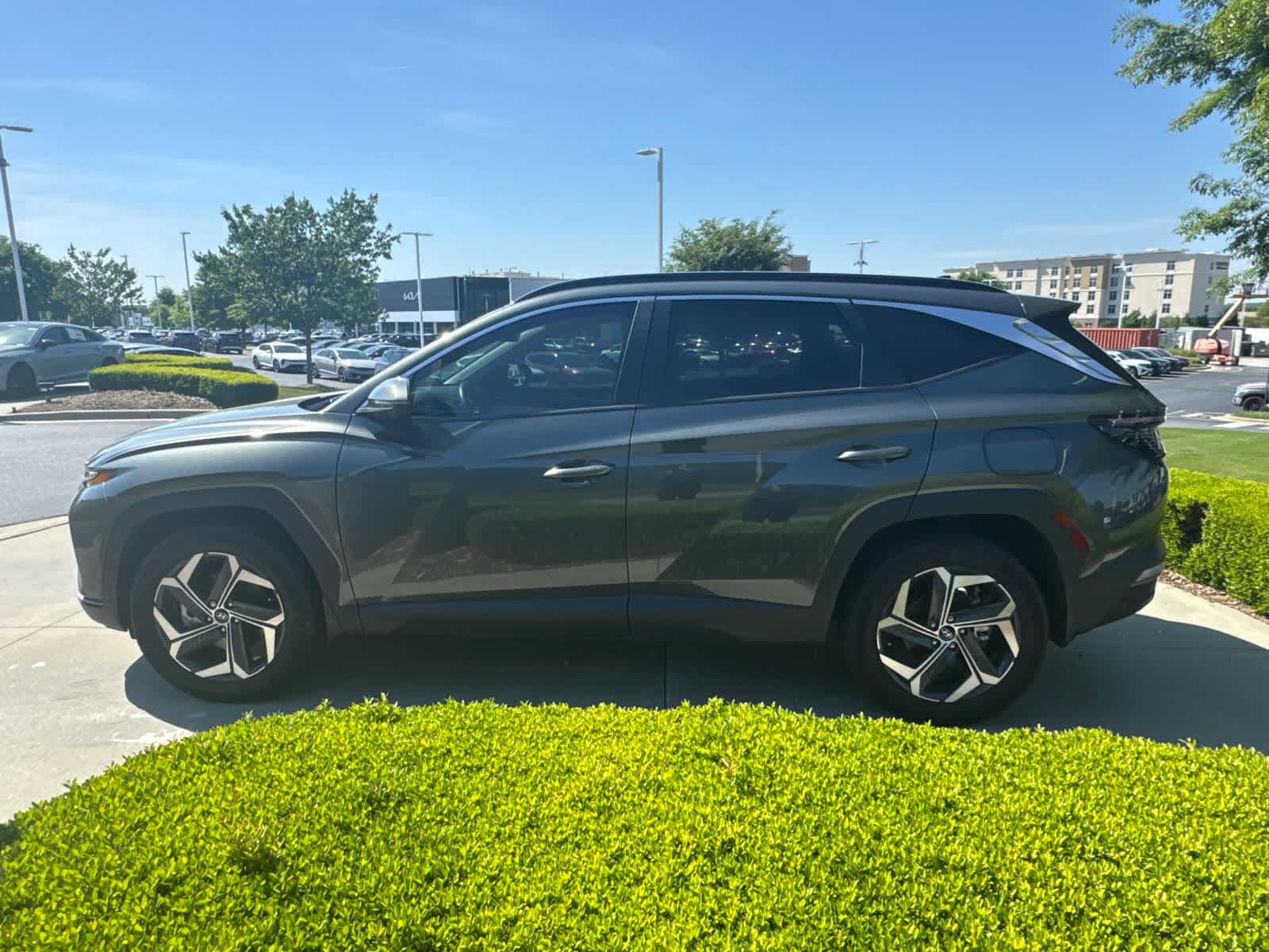 2024 Hyundai Tucson Hybrid SEL Convenience photo 6