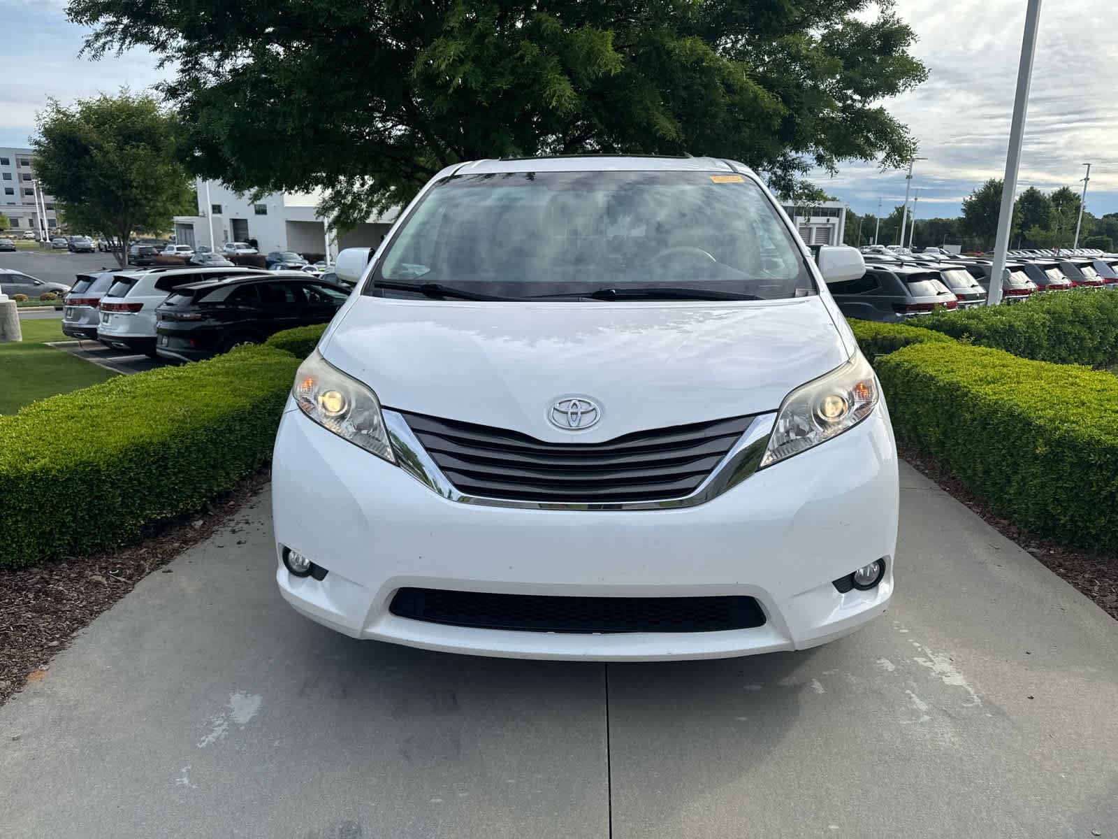 2014 Toyota Sienna XLE photo 2