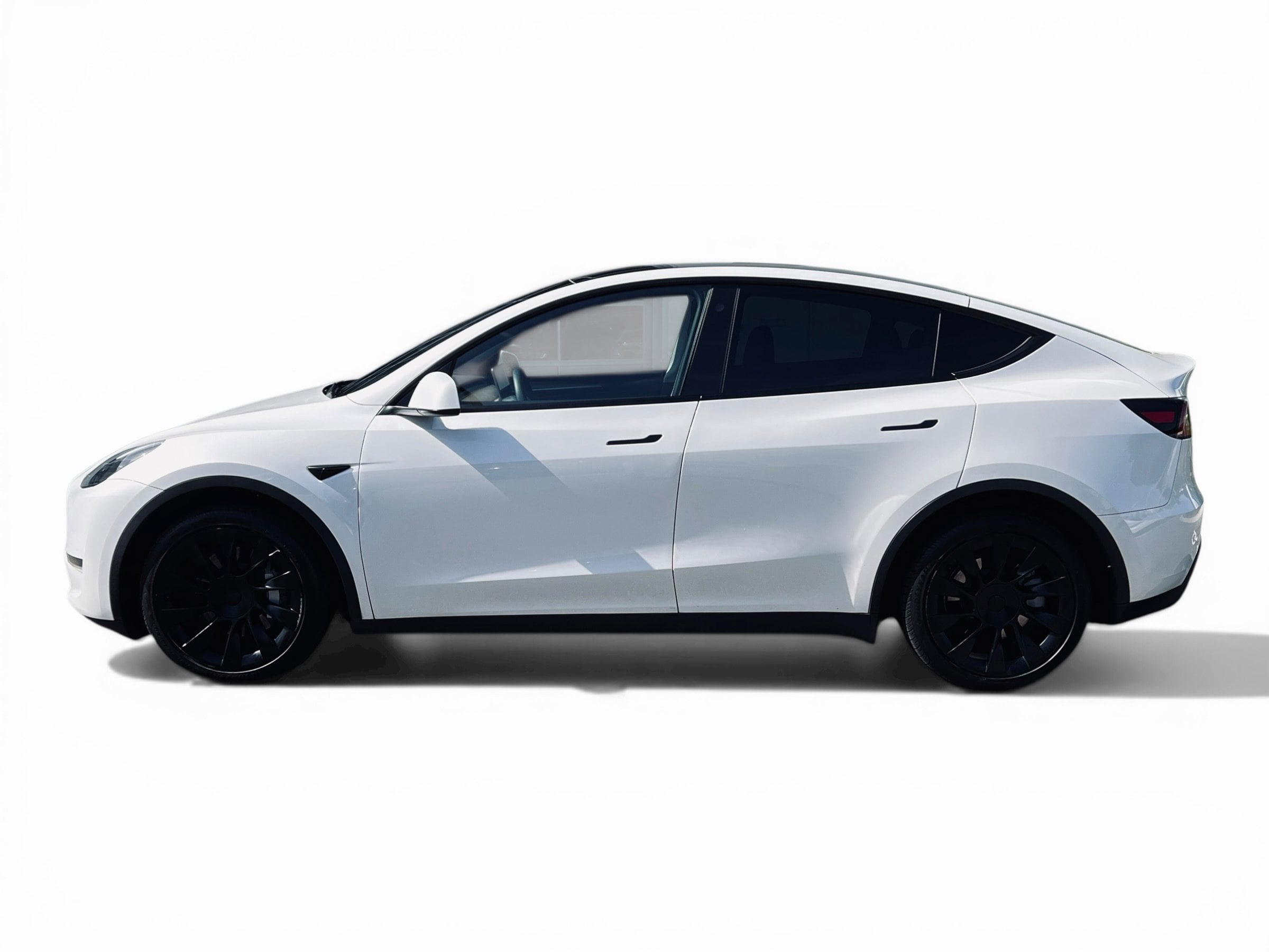 2023 Tesla Model Y EV photo 6