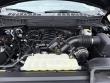 2025 Ford F-150 Tremor Pickup