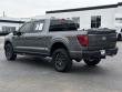 2025 Ford F-150 Tremor Pickup