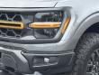 2025 Ford F-150 Tremor Pickup