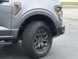 2025 Ford F-150 Tremor Pickup