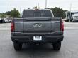 2025 Ford F-150 Tremor Pickup