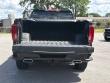 2025 GMC Sierra 1500 Denali Pickup
