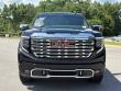 2025 GMC Sierra 1500 Denali Pickup