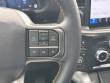 2025 Ford F-150 Tremor Pickup