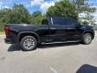 2025 GMC Sierra 1500 Denali Pickup