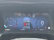 2025 Ford F-150 Tremor Pickup